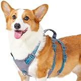 Huntboo 犬 ハーネス 小型犬 中型犬 犬用ハーネス 引っ張り防止 抜けない サイズ調整可能 夜間反射 咳き込み防止 歩行補助 訓練 散歩 大型犬 柴犬 (テールブルー,M)