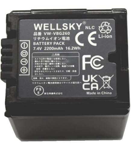 Panasonic パナソニック VW-VBG6-K　バッテリーパック Amazon | str VW-VBG6-K/AG-BPS581 互換バッテリー 2個セット