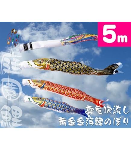 Amazon | 【家紋・名入れ対応】【庭園用鯉のぼり】5m青海波金太郎雲竜