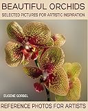Beautiful orchids. Selected pictures for artistic inspiration: Reference Photos for Artists