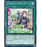 遊戯王 ジョングルグールの幻術師 ars10+ ジョングルグールの幻術師 ノーマルレア PHNI-JP035の通販 七七