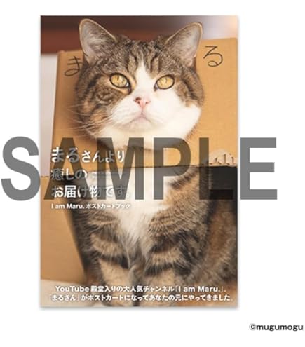 maruさま2026 🌊 Set sail for the future! Japan's pride, 