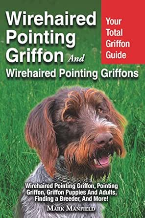 wirehaired pointing griffon price