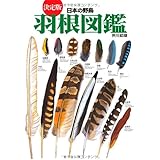 茶の湯の羽箒 知られざる鳥の文化誌 玉起 下坂 本 通販 Amazon