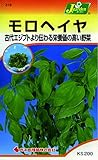 カネコ種苗 野菜タネハイクオリティ318 モロヘイヤ 10袋セット