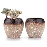 T4U 8.5CM 雪粒パターン 多肉植物、サボテン鉢 フラワーポット プランター容器 ブラウン 2個入り
