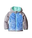 (ザノースフェイス) THE NORTH FACE キッズコート・ジャケット・アウター Reversible Perseus Jacket (Toddler) Grapemist Blue 2T To