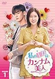 私のIDはカンナム美人 DVD-BOX1