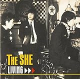 ���r���O