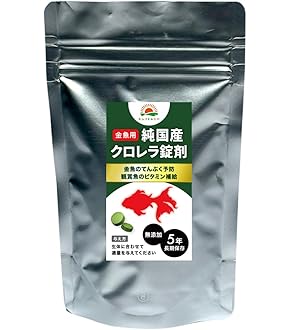 ♦︎ OGAWA / 湿地帯と金魚 ♦︎ OGAWA / 湿地帯と金魚 ♦︎ OGAWA / 湿地帯と金魚 Amazon