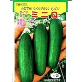 ミニＱ トキタ種苗のミニキュウリの種です