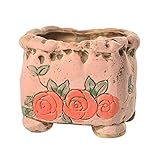 2つの小さなガーデンポットのセット創造的なポットポット多肉植物のポット[G]