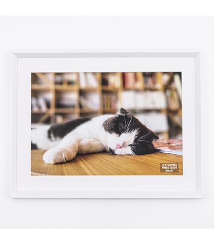 Amazon | ハンザテック 差替えマットパネル （ワイド4切サイズ/黒