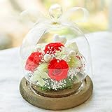 プリザーブドフラワー ガラスドーム ギフト Mサイズ （ビビアンレッド） ガラスの森～ローズシュシュ～