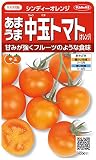サカタのタネ 実咲野菜0011 あまうま中玉トマト(オレンジ) シンディーオレンジ 00920011 10袋セット