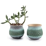 T4U 2.75 インチ 陶器鉢 サマートリオ NO.1 多肉植物 サボテン鉢 フラワーポット プランター容器 緑 2個いり