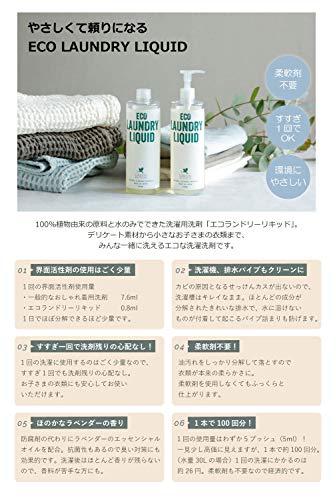 洗濯洗剤を変えたらストレスが減った話 エコランドリーリキッド が優秀 Picnic