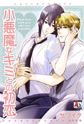 『小悪魔なキミとの初恋』