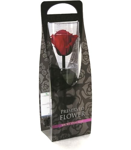Amazon.co.jp: Florever フロールエバー ステム付スタンダードローズ 1