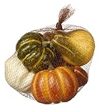 Assorted Pumpkins and Gourds inバッグ秋Decor