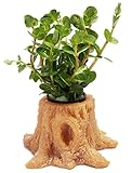 トトハウス(TOTO HOUSE) 人工植物 熱帯魚・観賞魚 水槽 アクアリウム内装 オーナメント 装飾