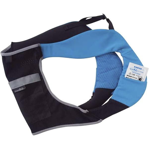 Amazon.co.jp: クールビット・冷タスキ（サイズL）CBCX-08-L、屋外