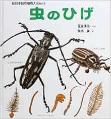 鬚虫