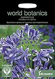 WB　英国ジョンソンズシード　Johnsons Seeds World Botanics Collection Agapanthus africanus Headbourne Hybrids アガパン
