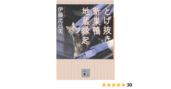とげ抜き 新巣鴨地蔵縁起 講談社文庫 伊藤 比呂美 本 通販 Amazon