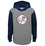 ニューヨーク・ヤンキースYouth Boys" New Beginnings」プルオーバーフード付きスエットシャツ – グレー/ネイビー Youth Medium(10-12)