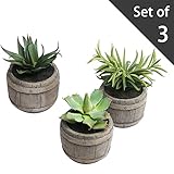 Assortedミニ人工多肉植物植物で素朴な木製バレルデザインPots、3のセット、ブラウン