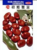 初姫 みかど協和の蚕豆種子です。