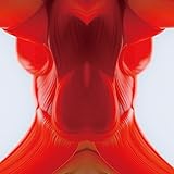 【メーカー特典あり】Don't miss it!! (初回生産限定盤B)(CDS+DVD)(特典:直筆サイン入りポストカード BiS1st 4種セット)