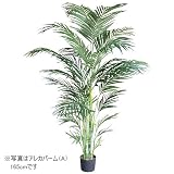 光触媒・人工観葉植物 アレカパーム(A)180cm 黒(鉢の色)