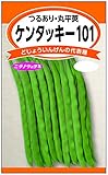 ケンタッキー101(つるあり･丸平莢)