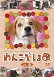 �w��񂱂ł���xDVD vol.3