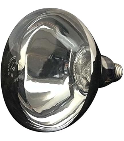 Amazon | 岩崎 セラミックメタルハライドランプ FECセラルクスエース