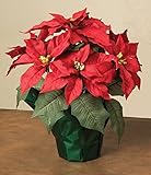 15 Potted Red Poinsettia Plant with 7 Flowers【クリスマス】【ツリー】 [並行輸入品]