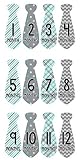 Monthly Baby Stickers Necktie Tie Boy Month Milestone Sticker Months in Motion (778) [並行輸入品]