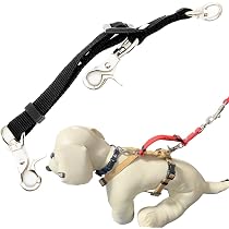☆ buenacosa 犬 犬用リード 小型 中型犬用リー ト ブラック 772 Amazon | buenacosa 犬 犬用リード 小型 中型犬用リード 訓練リード