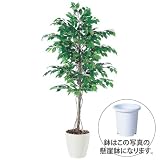 エフプランター 人工観葉植物-フィッカスベンジャミナ-200-9号鉢-懸崖鉢