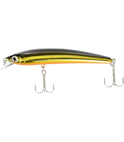 Amazon.co.jp: スミス(SMITH LTD) ミノー パニッシュ 85F 85mm 6g ホロ