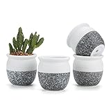 T4U 6CM 陶器ミ二植木鉢 韓国風の雪花シリーズ No.6 円柱形 多肉植物 サボテン鉢 フラワーポット プランター容器 4個入り