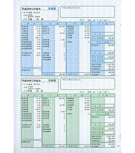 Amazon | ソリマチ 給与・賞与明細書（封筒型・シール付き・給料王14