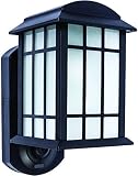 Jiawei Technology 00001 - 1 Light (Medium Screw Base) 11.1" Smart Home Security Lantern Black with F