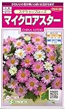 サカタのタネ 実咲花5047 マイクロアスター ステラ トップローズ 00905047