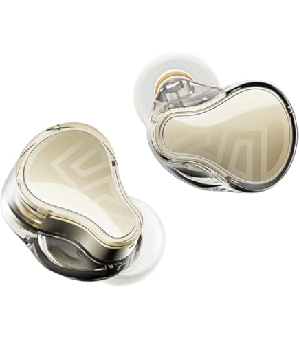 AVIOT TE-D01d mk2 True Wireless Earphone Japan Tuned Bluetooth 5