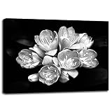 Camellia Bloom by Harold Silverman – 花 18"x18" 59567-36-25FUSA