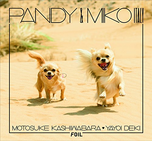 PANDY&MIKO ITALY