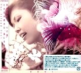 �S�̐�